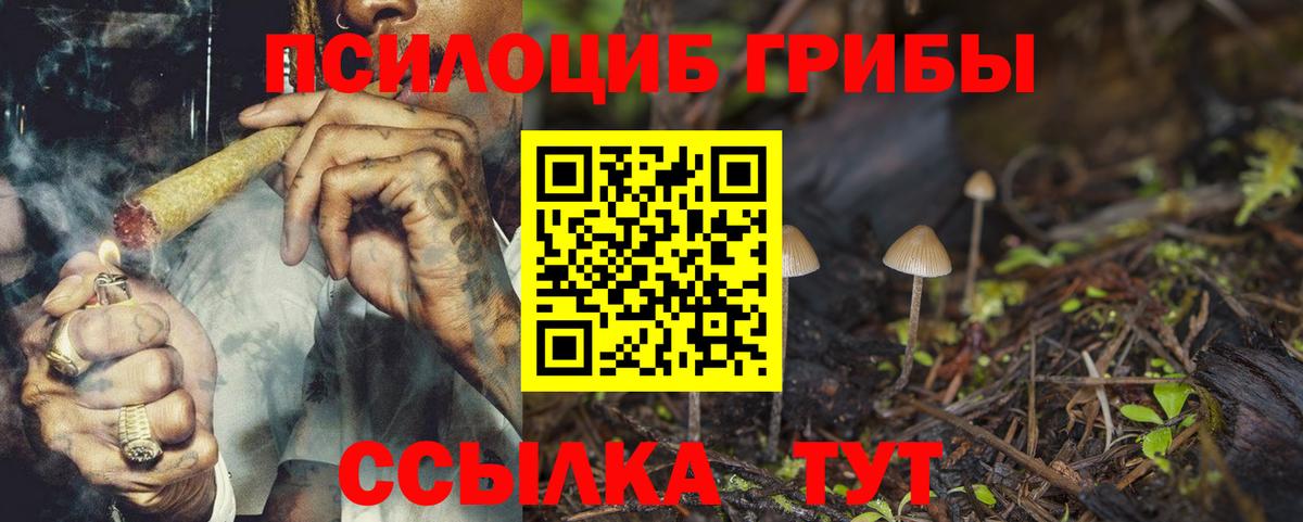 Псилоцибиновые грибы GOLDEN TEACHER  Галлюциногенные грибы прущие грибы  Вход с VPN  цены наркотик  Кострома 