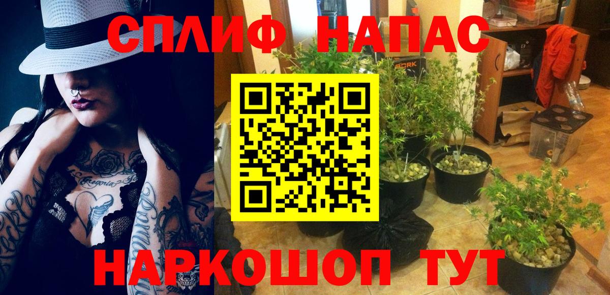 Канабис AK-47 Кострома